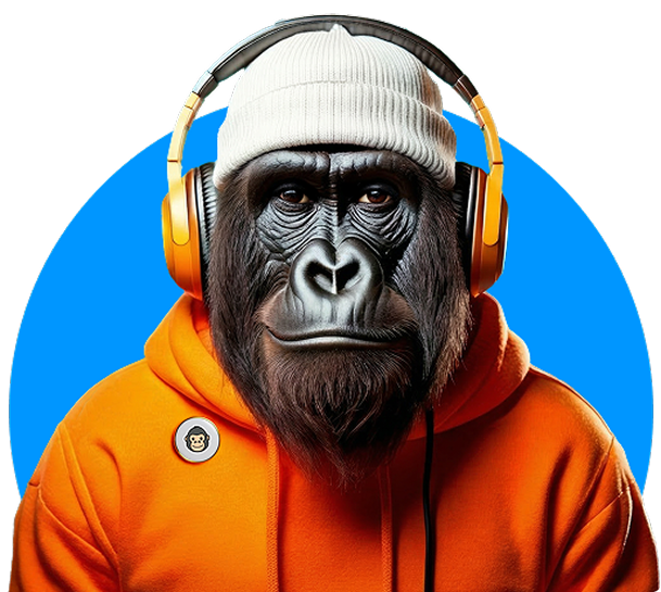 unsplash_gc3l58xaene-2